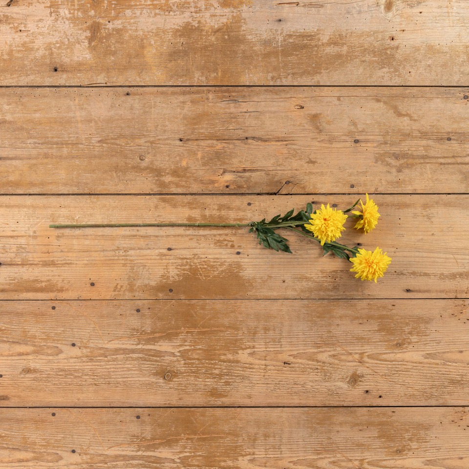 29" YELLOW GERBERA SPRAY
