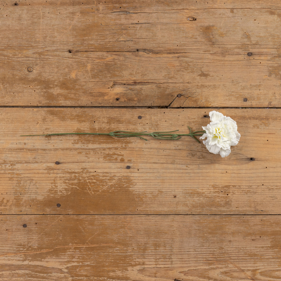 17" WHITE CARNATION SPRAY