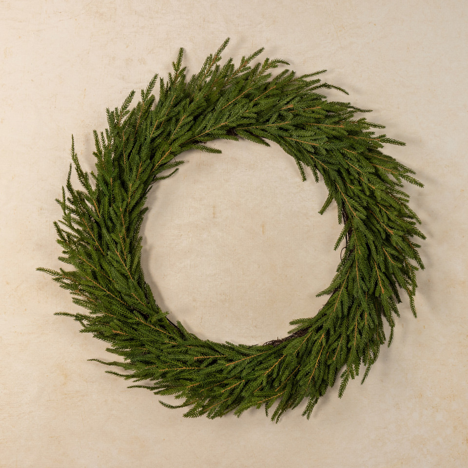 30" SOFT TOUCH NORFOLK PINE WREATH