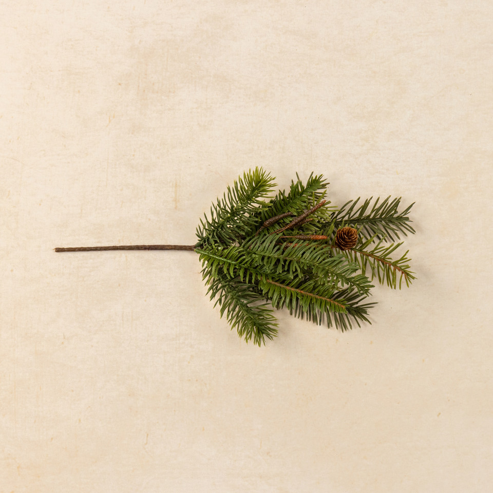 13.5"  HEMLOCK & DOUGLAS FIR W/ MINI PINECONE PICK