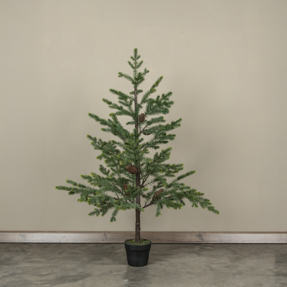 48" COPLEY PINE TREE IN POT