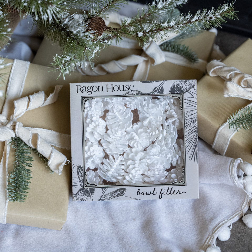SET/ 20 WHITE GLITTERED PINECONES