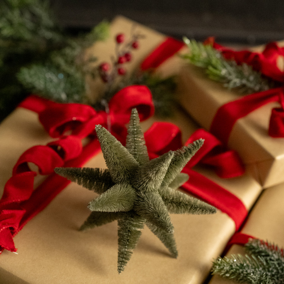 GREEN BOTTLEBRUSH STAR ORNAMENT