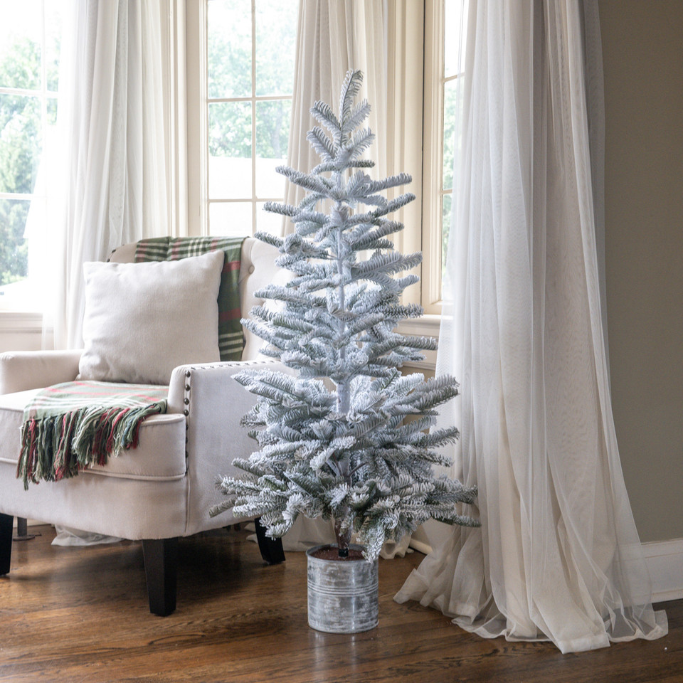 4' SNOWY HEMLOCK TREE