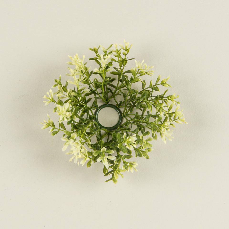 6" NEW ENGLAND BOXWOOD & BERRIES TAPER CANDLE RING