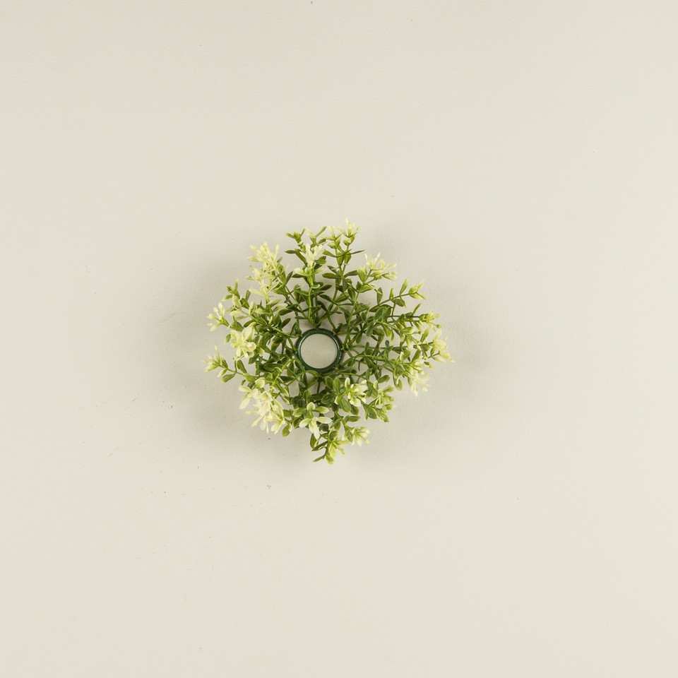 6" NEW ENGLAND BOXWOOD & BERRIES TAPER CANDLE RING