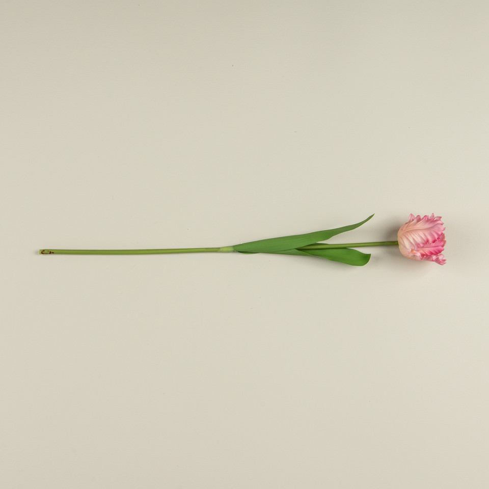 22.5" SOFT TOUCH PINK PARROT TULIP STEM