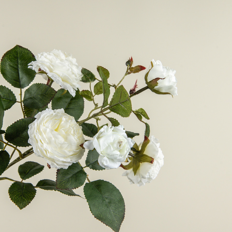 26" CREAM CABBAGE ROSE SPRAY