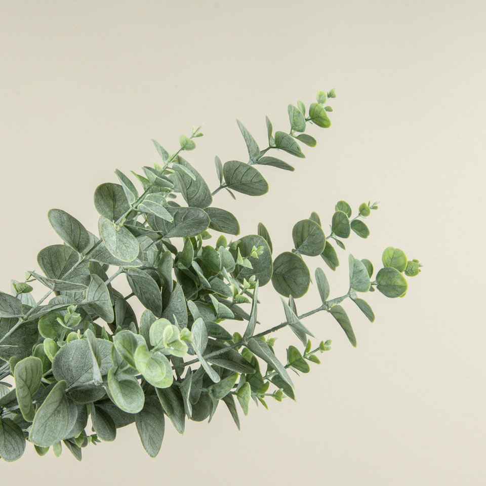 32" EUCALYPTUS BUNDLE