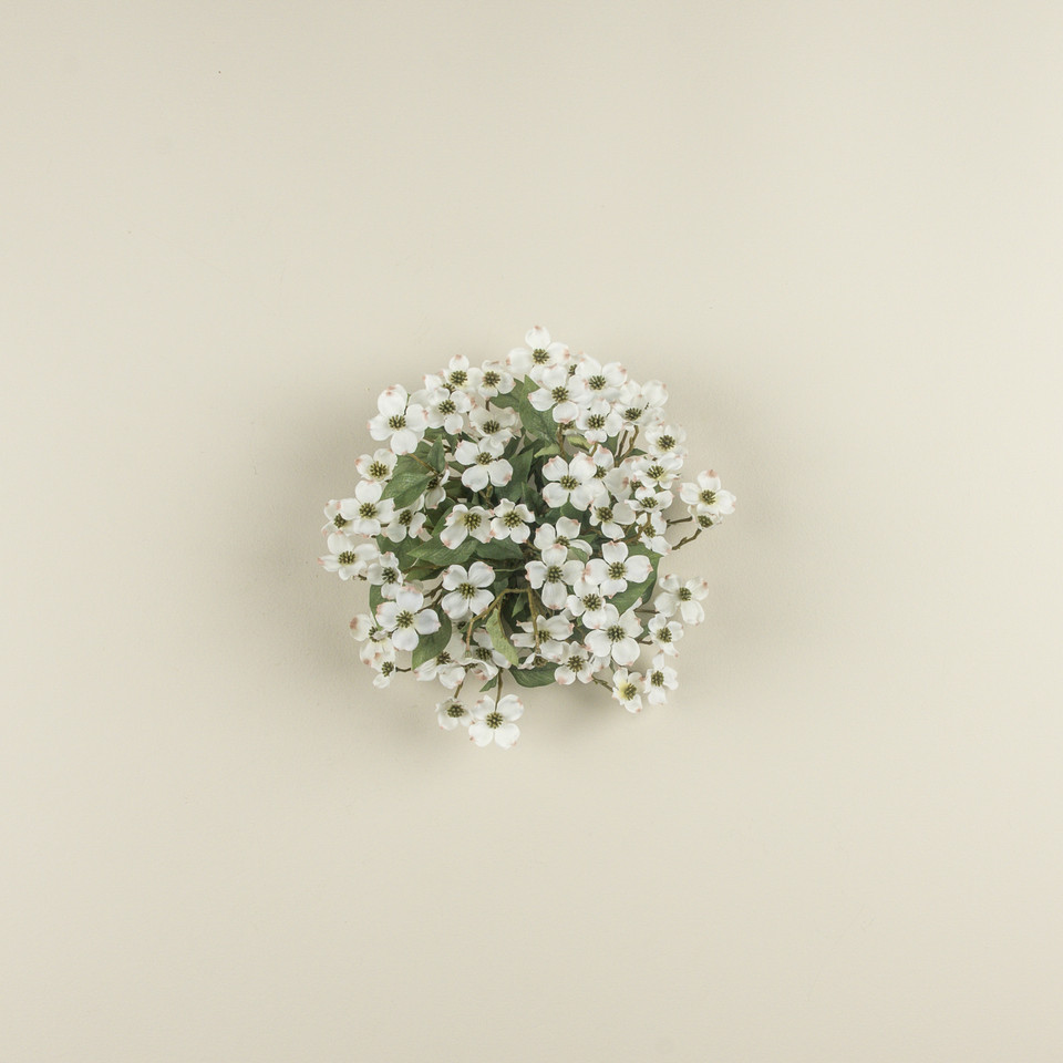 11" DOGWOOD HALF BALL