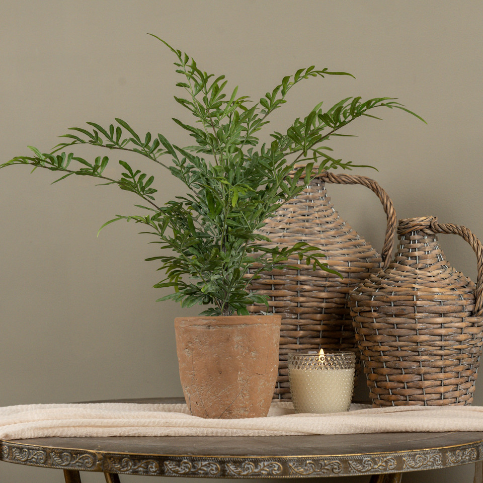 20" POTTED HEAVENLY BAMBOO
