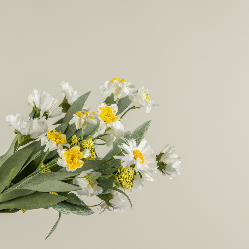 12" WHITE PAPER DAISY BUSH