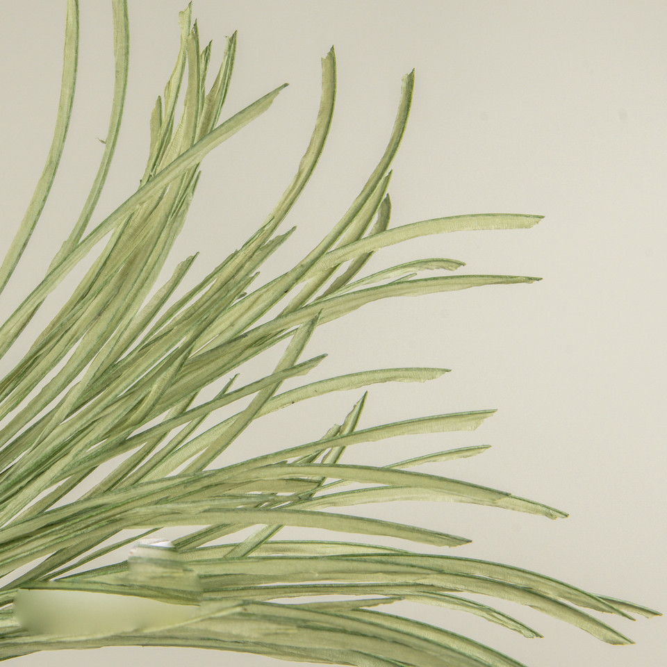 29" PAPER GRASS BUSH