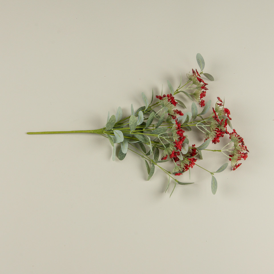 20" RED YARROW BUSH