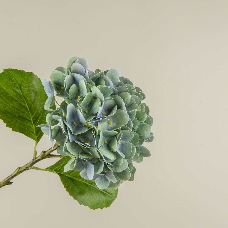 20" MIXED BLUE HYDRANGEA STEM