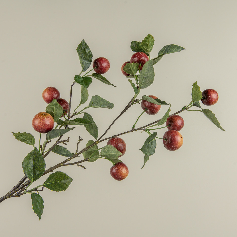 34" RED APPLE STEM