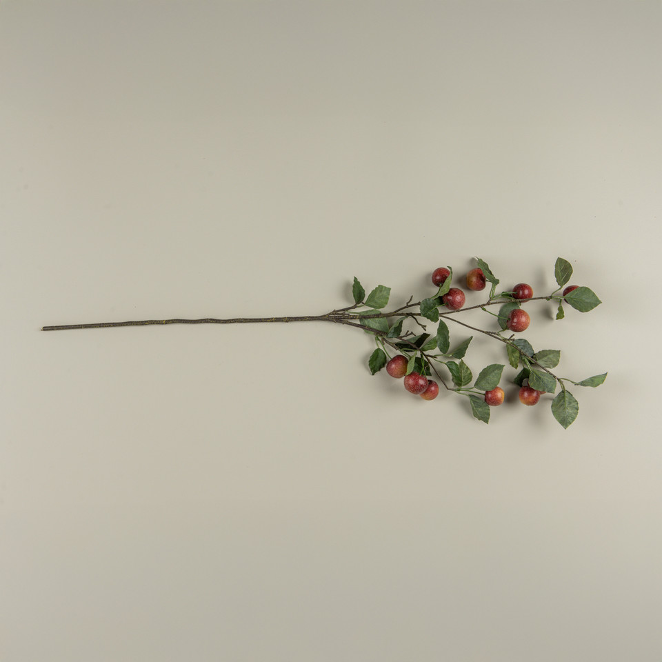 34" RED APPLE STEM