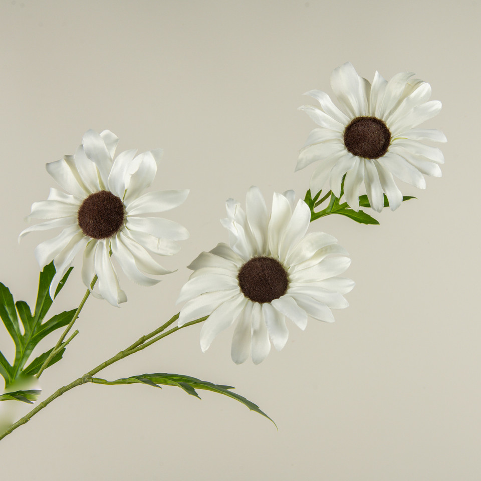 33" CREAM DAISY SPRAY