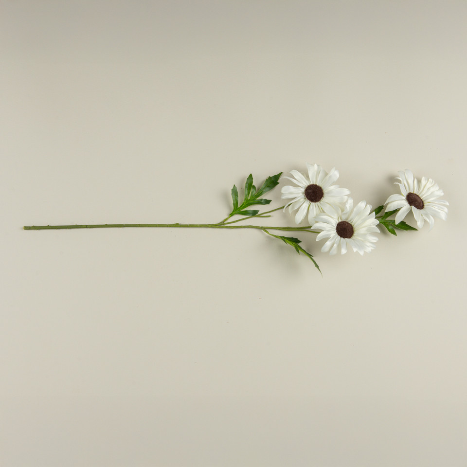 33" CREAM DAISY SPRAY