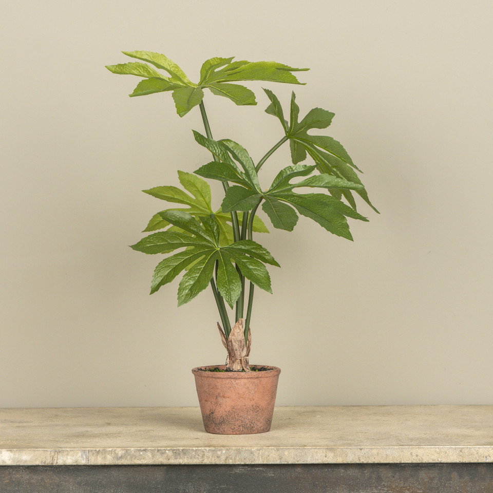 20" POTTED PAPER PLANT