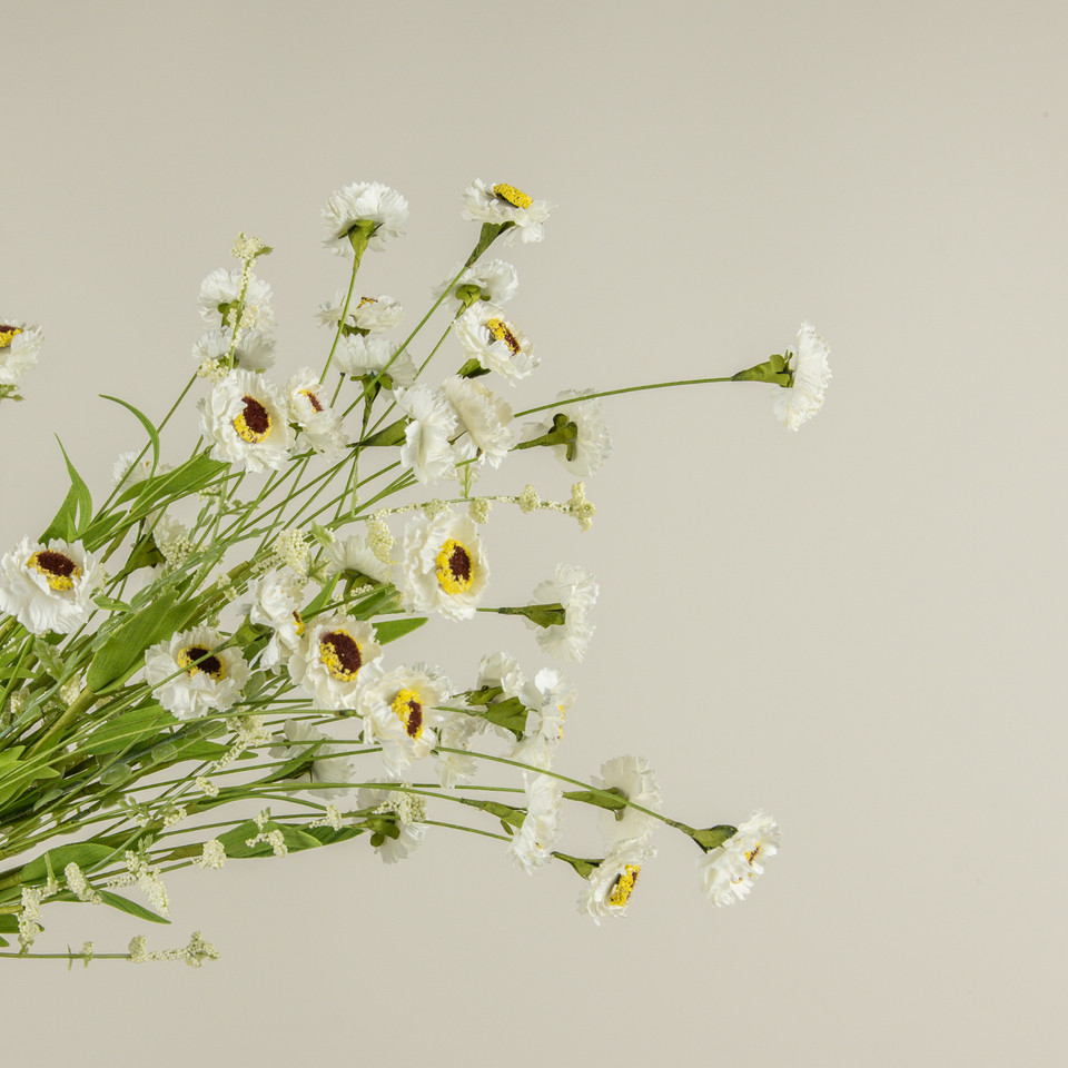22" WHITE PAPER DAISY BUSH