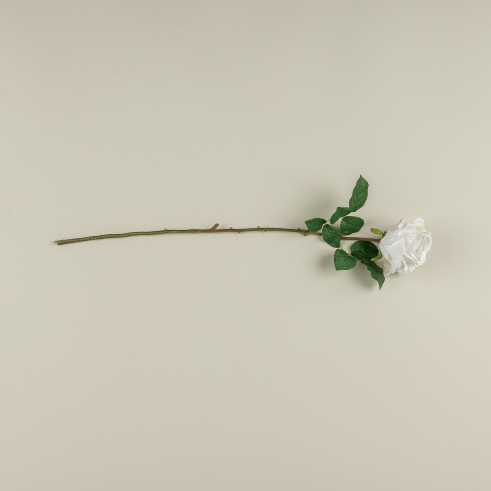 24" CREAM ROSE STEM