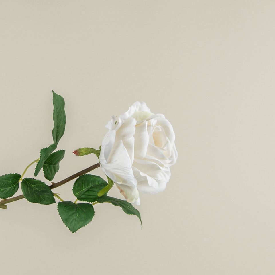 24" CREAM ROSE STEM