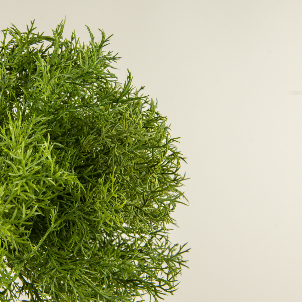 10.5" ROSEMARY BUSH
