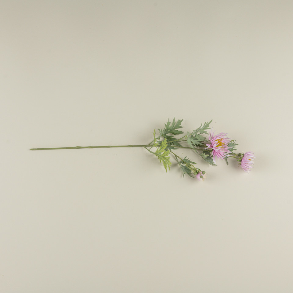27" PINK ASTER SPRAY