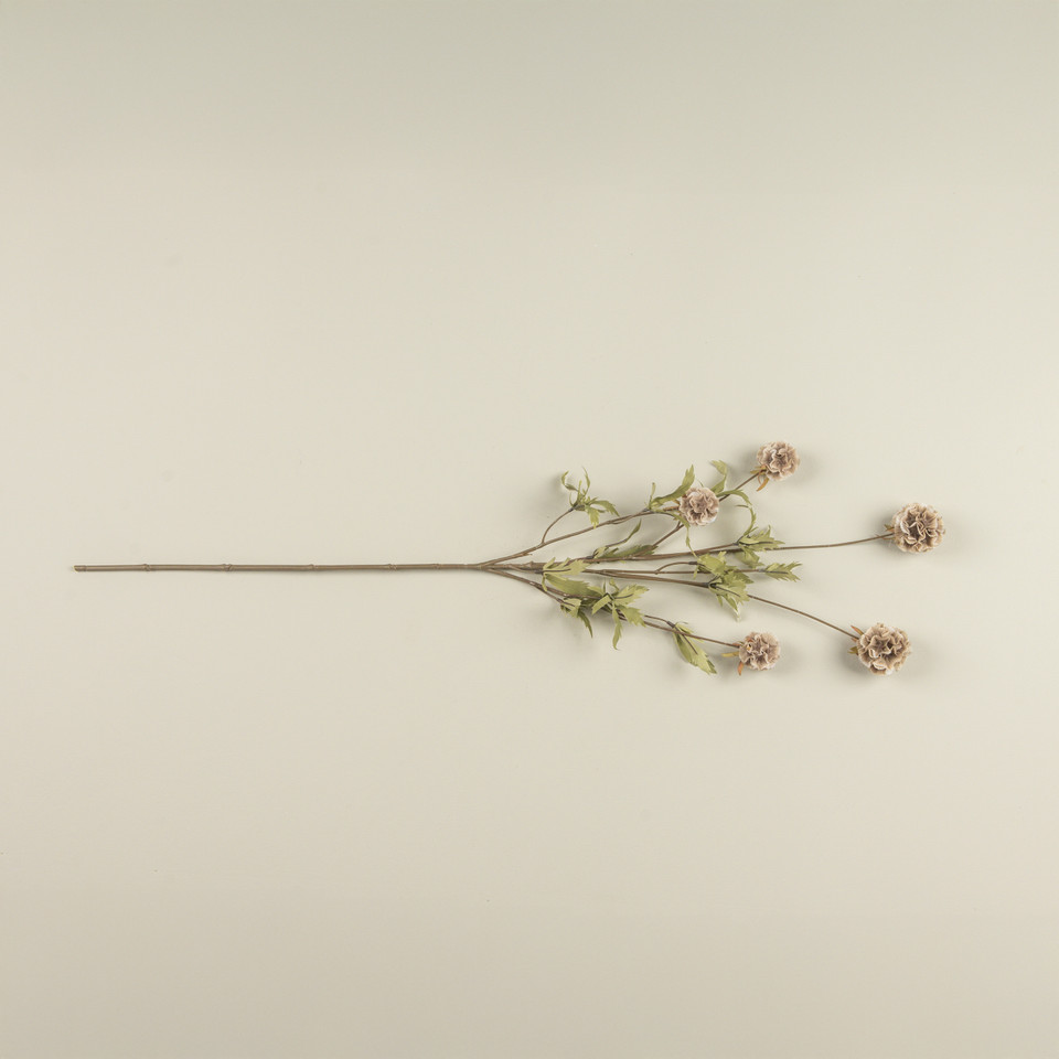 38" TAN SCABIOSA STEM