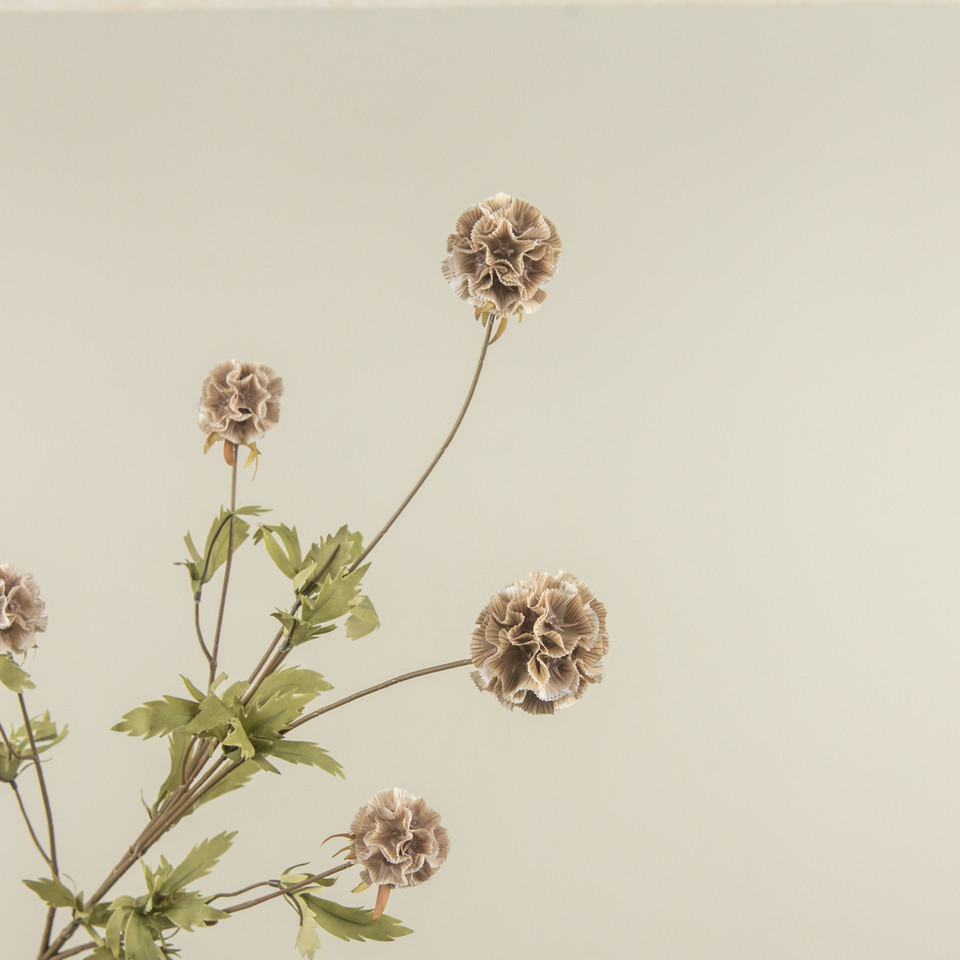 38" TAN SCABIOSA STEM