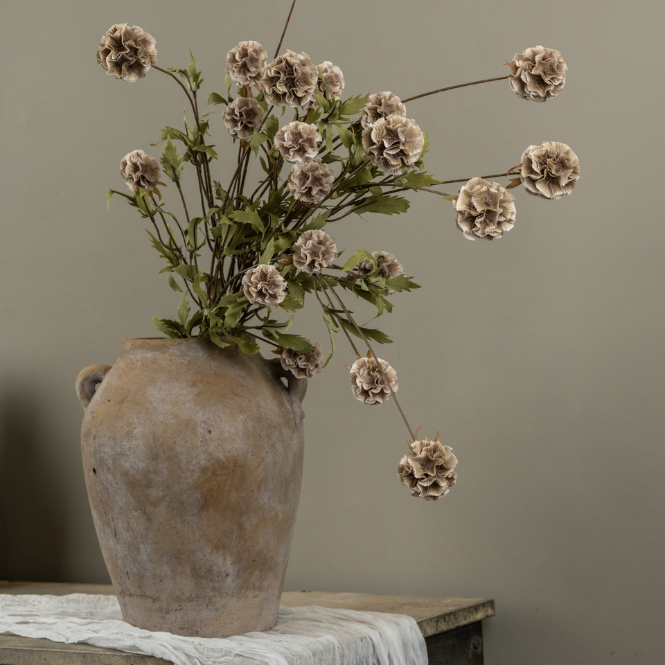 38" TAN SCABIOSA STEM