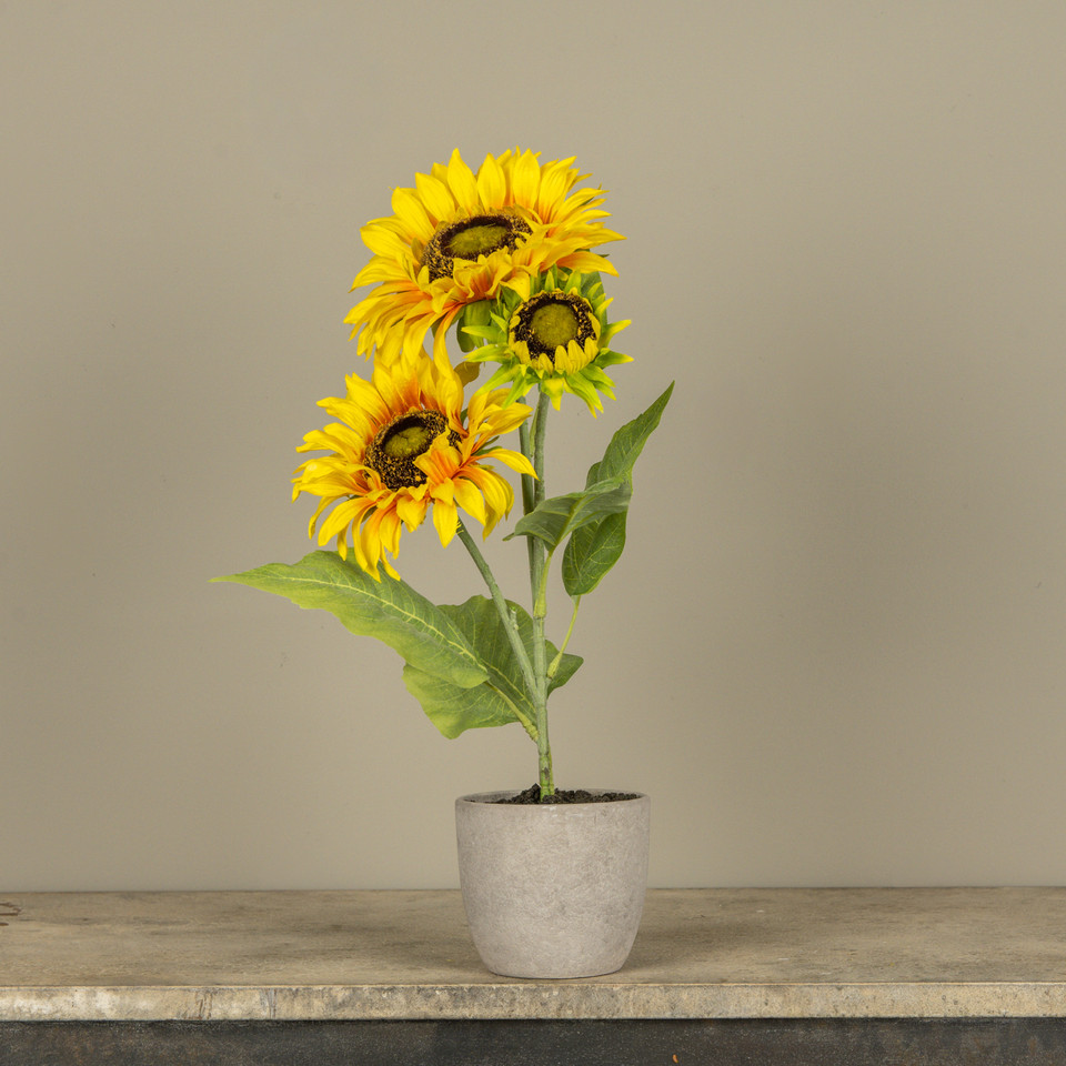 20" YELLOW POTTED SUNFLOWER