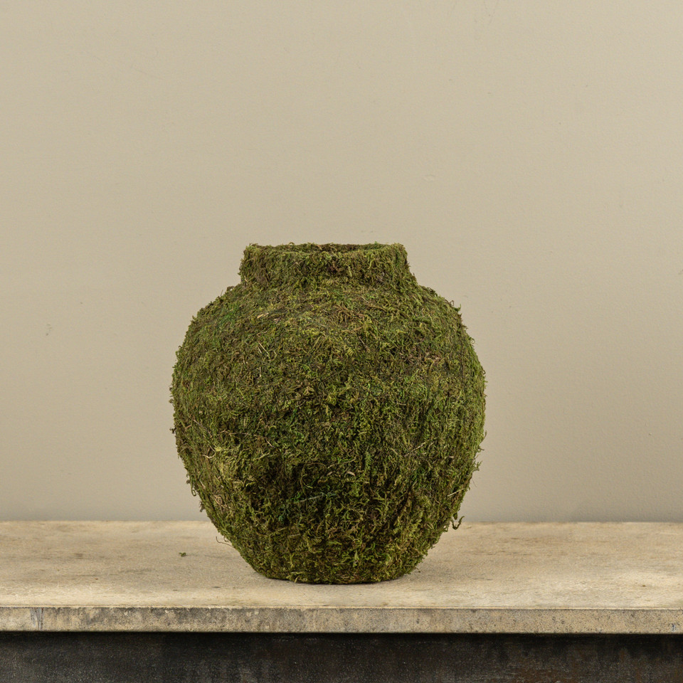 MOSS VASE