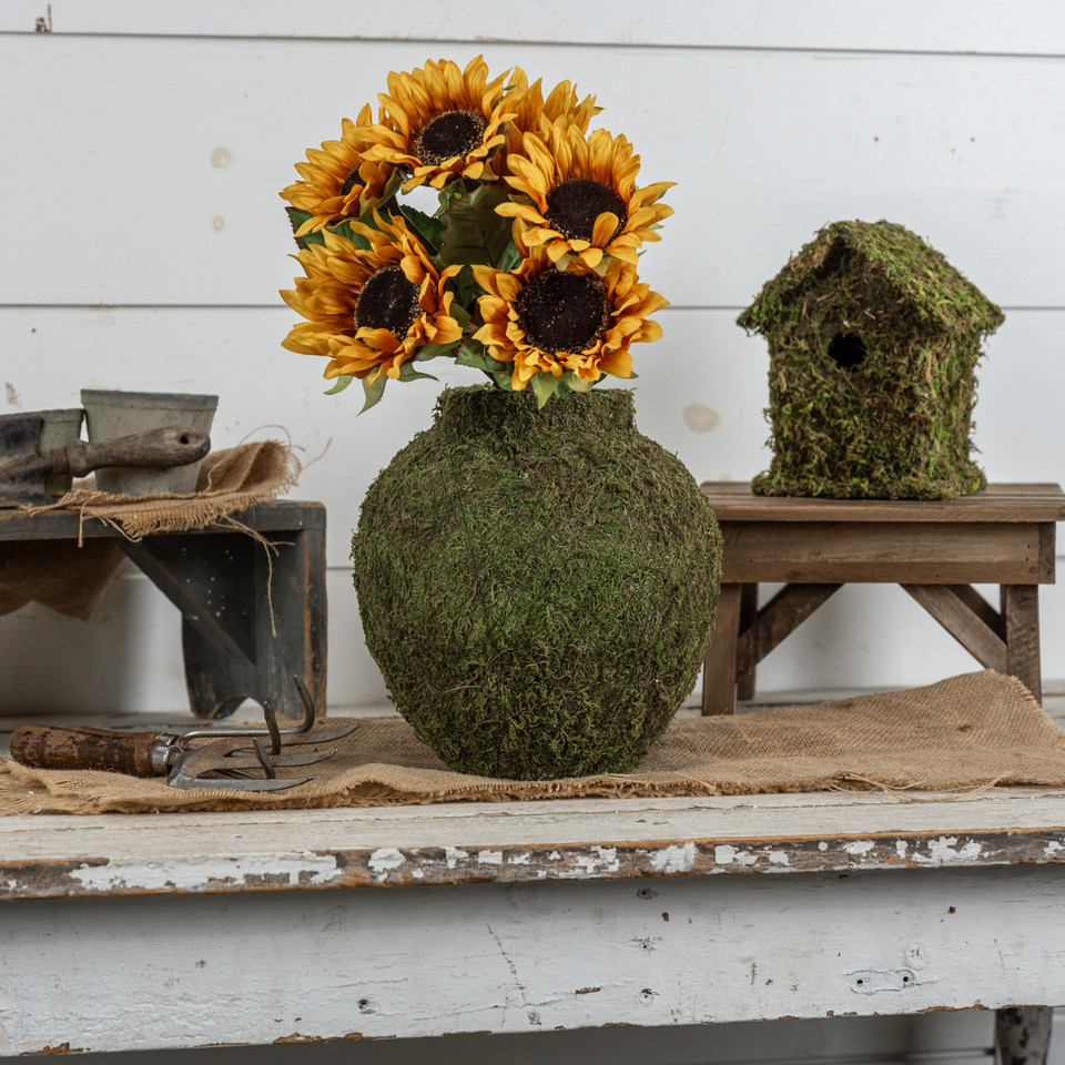 MOSS VASE