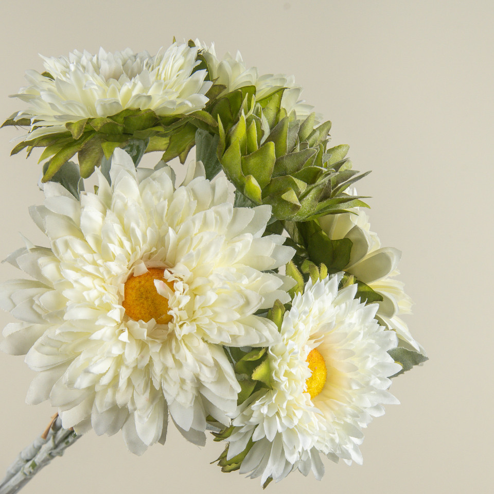 16.75" CREAM GARDEN MUM BUNDLE
