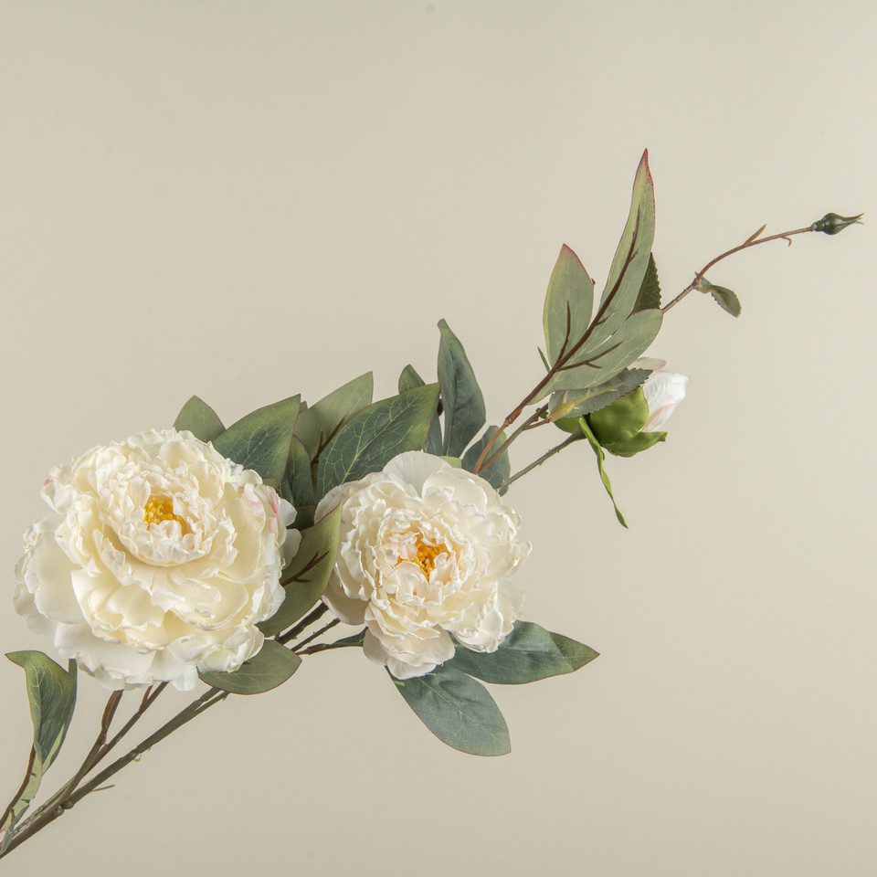 34.5" CREAM PEONY SPRAY