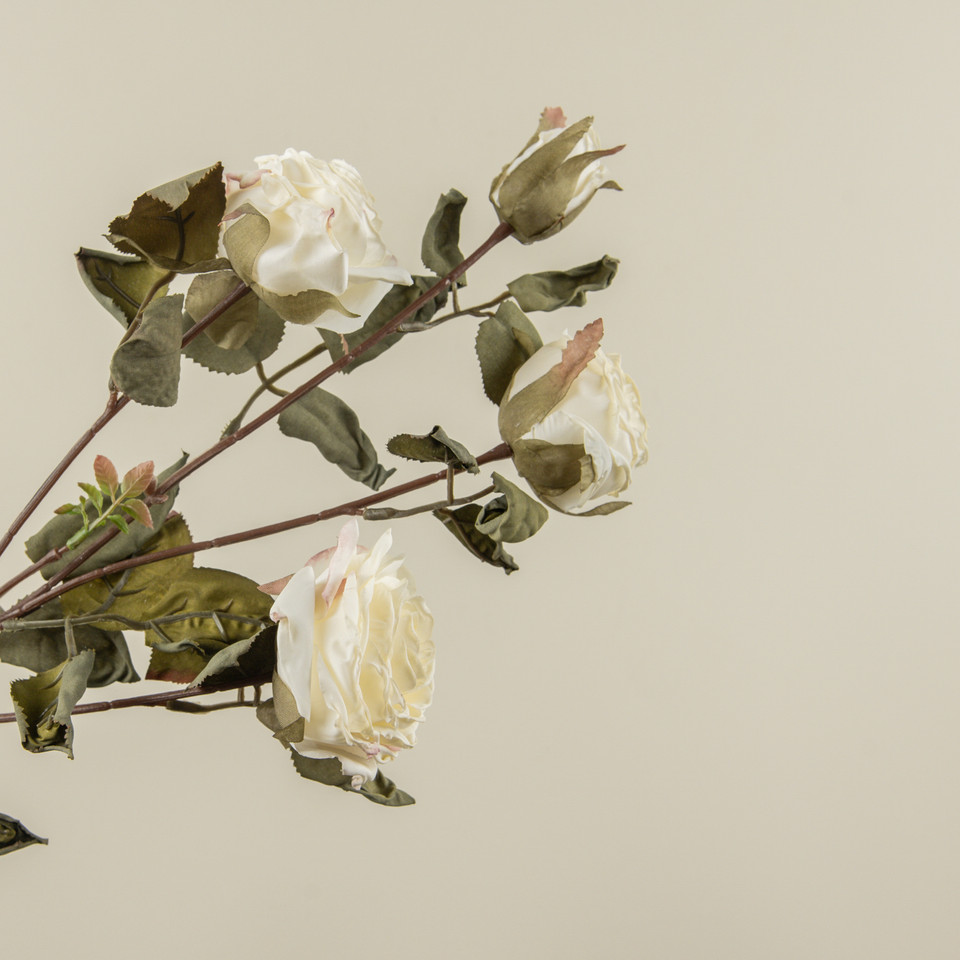 27.25" CREAM DRIED ROSE SPRAY