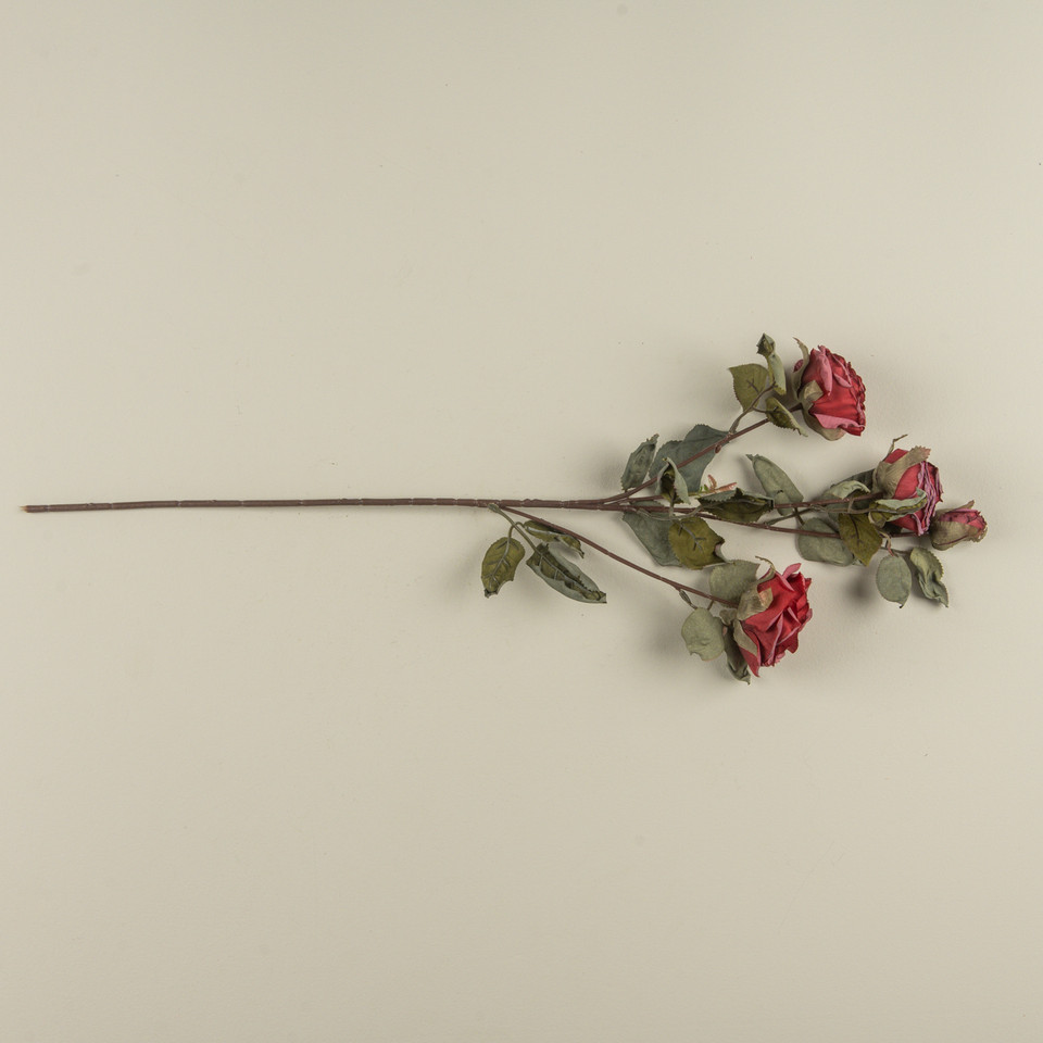 27.25" WINE DRIED ROSE SPRAY