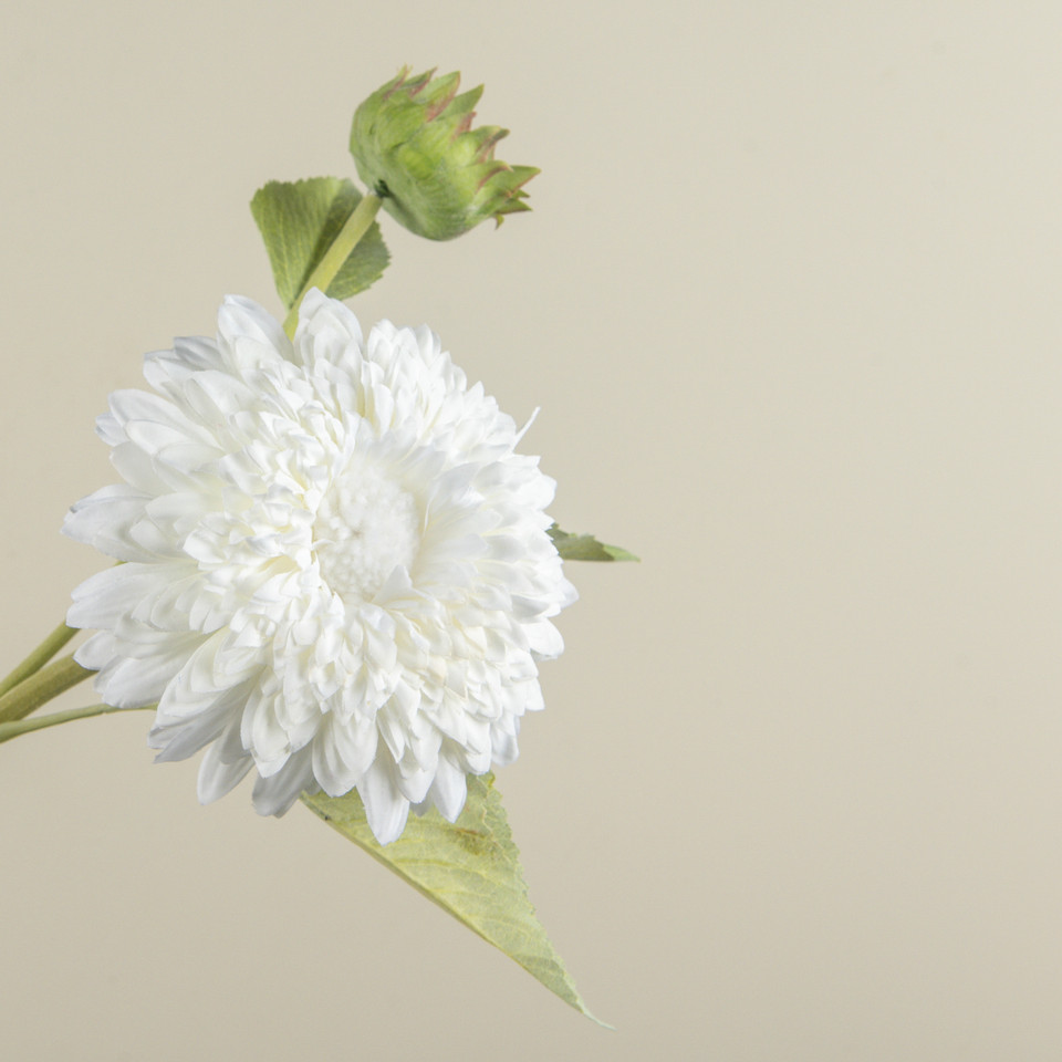 18.25" WHITE SUNFLOWER SPRAY