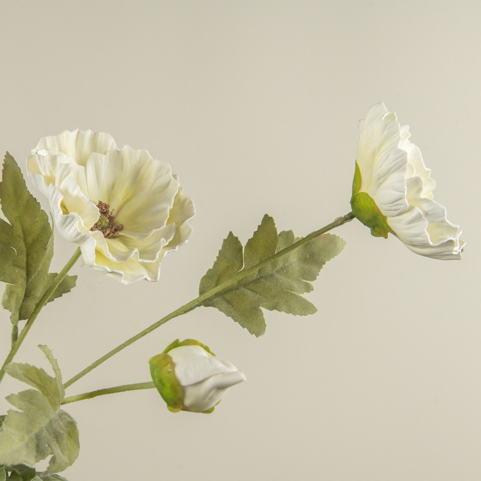 27" CREAM POPPY SPRAY
