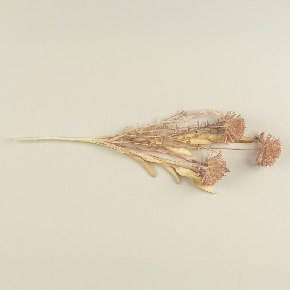 20.5" ROSEWOOD WILD LEEK SPRAY