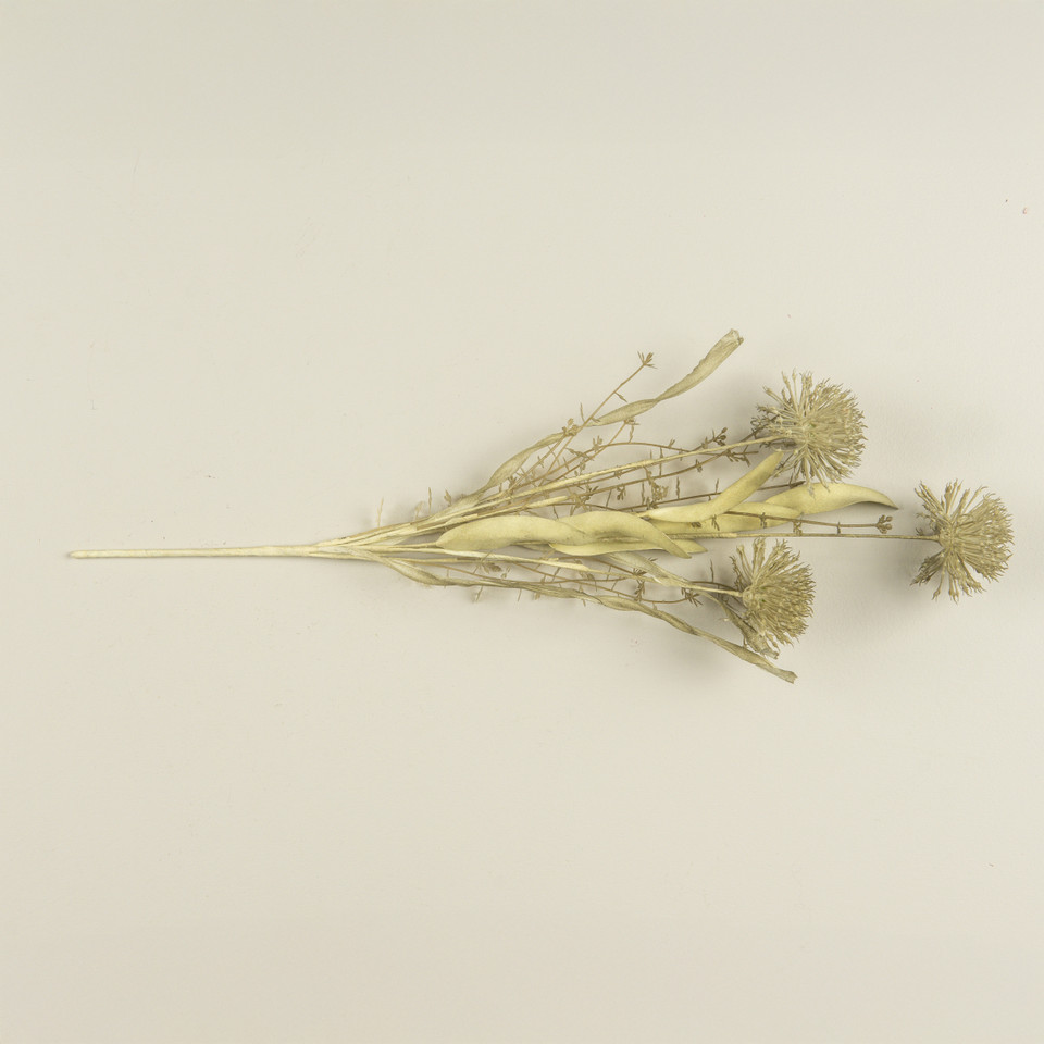 20.5" FERNWOOD WILD LEEK SPRAY