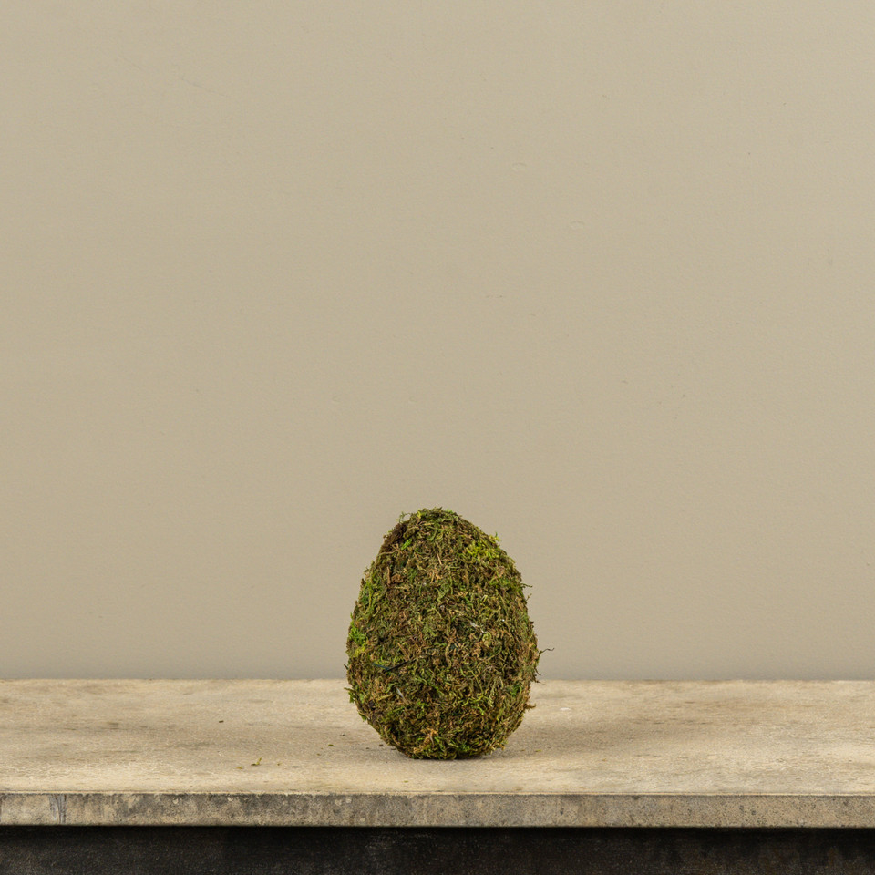 6" SITTING MOSS EGG