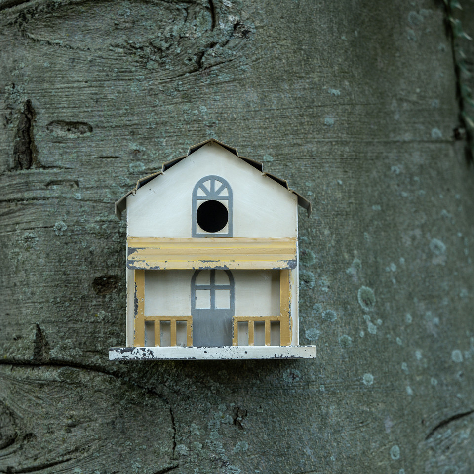 CREAM & YELLOW WALL BIRDHOUSE