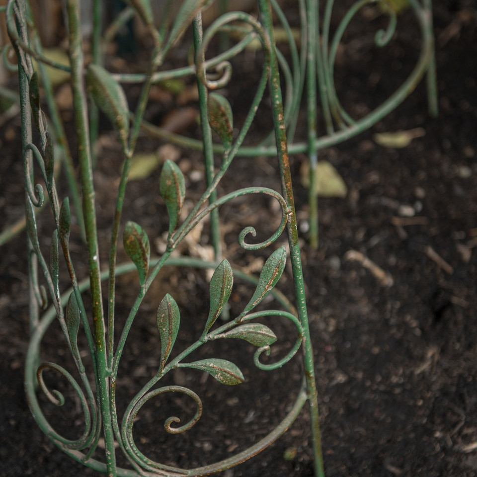 SET/ 3 GREEN LEAF TRELLISES*