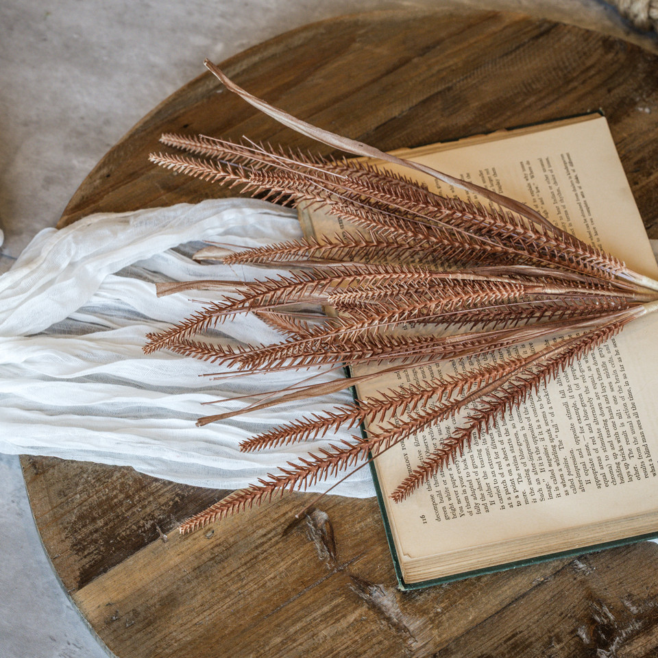 19.5" CHESTNUT GRASS SPRAY