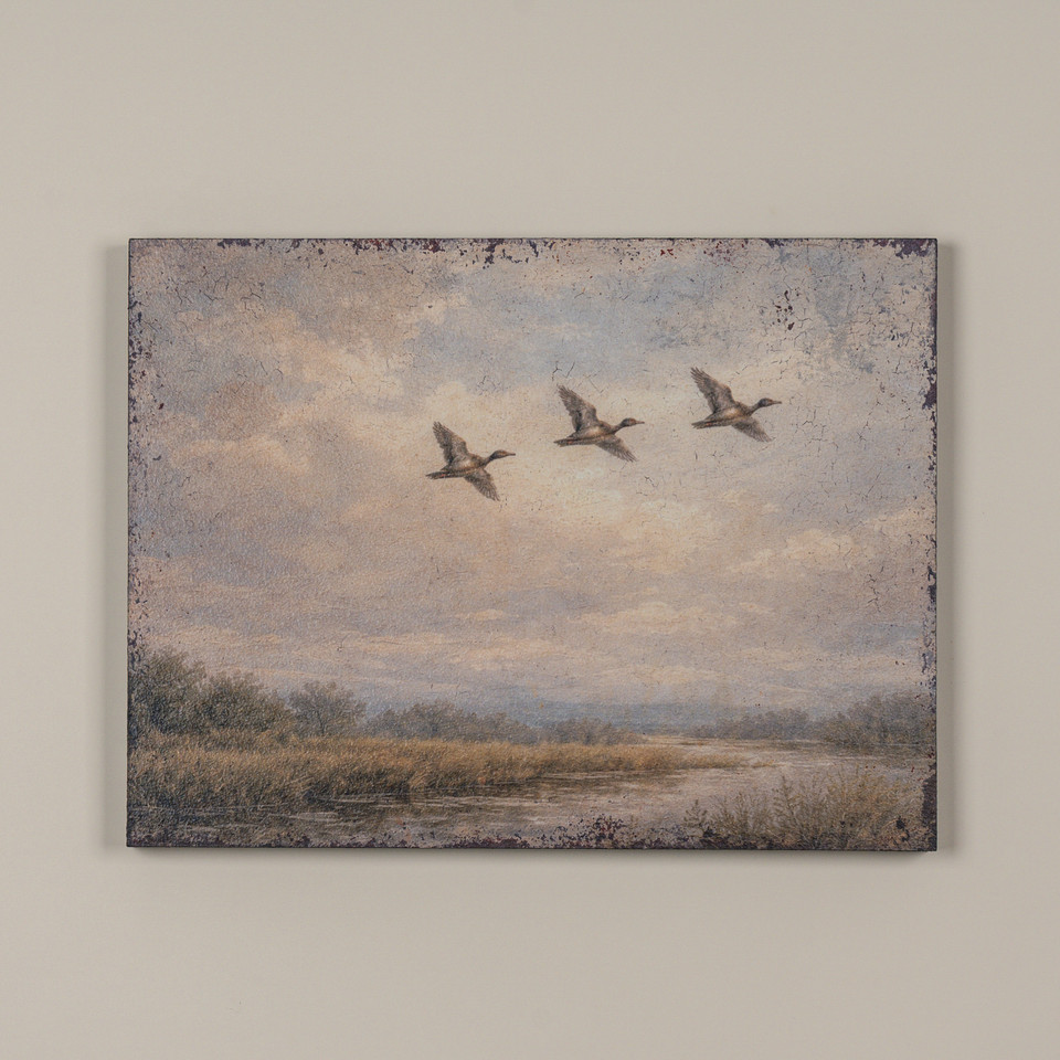 24" SOARING DUCKS PRINT