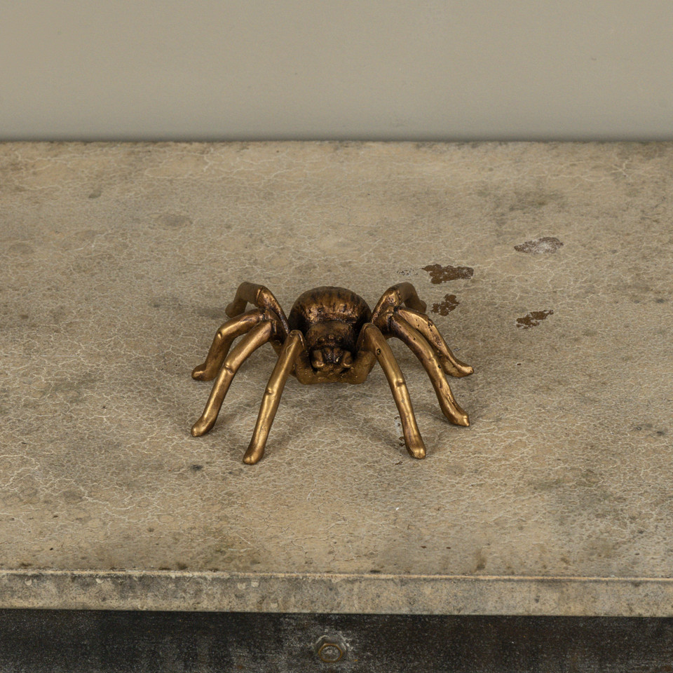 GOLD TARANTULA