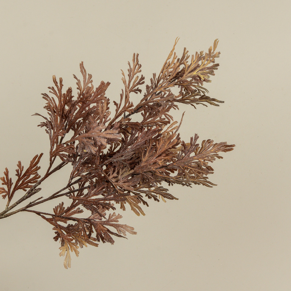 32" BROWN CORAL FERN SPRAY